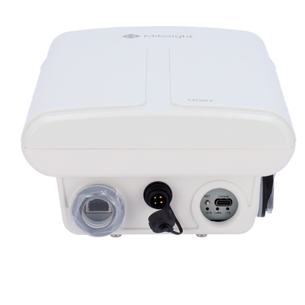 detalle2.png
