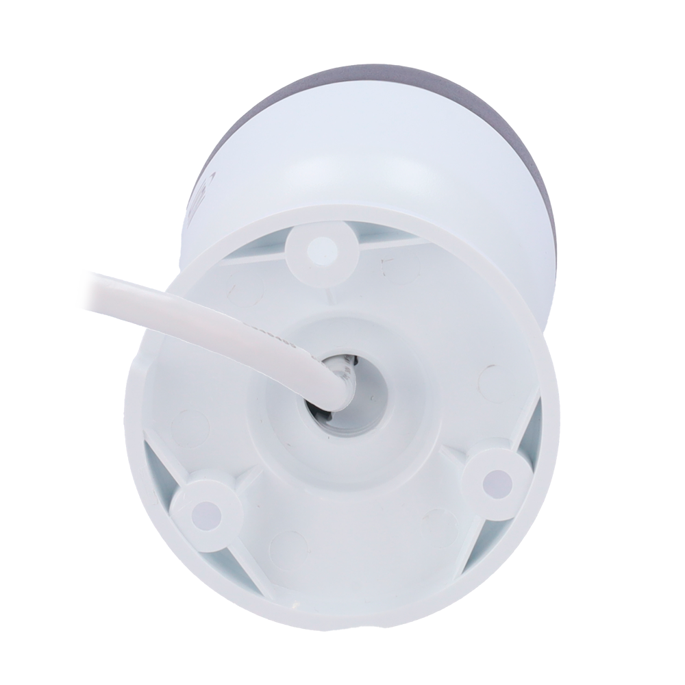 detalle3.png