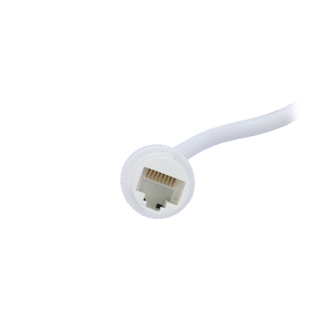 detalle5.png