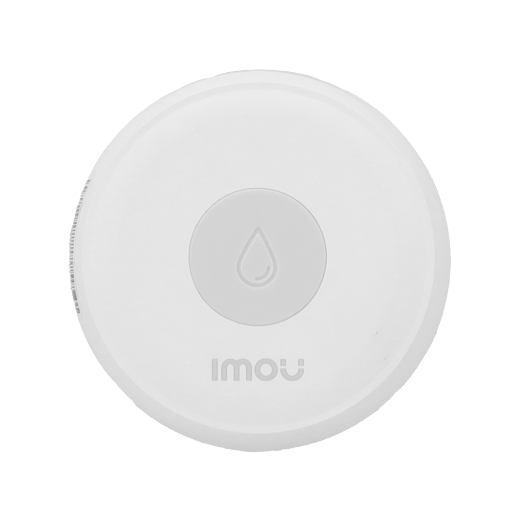 detalle1.png