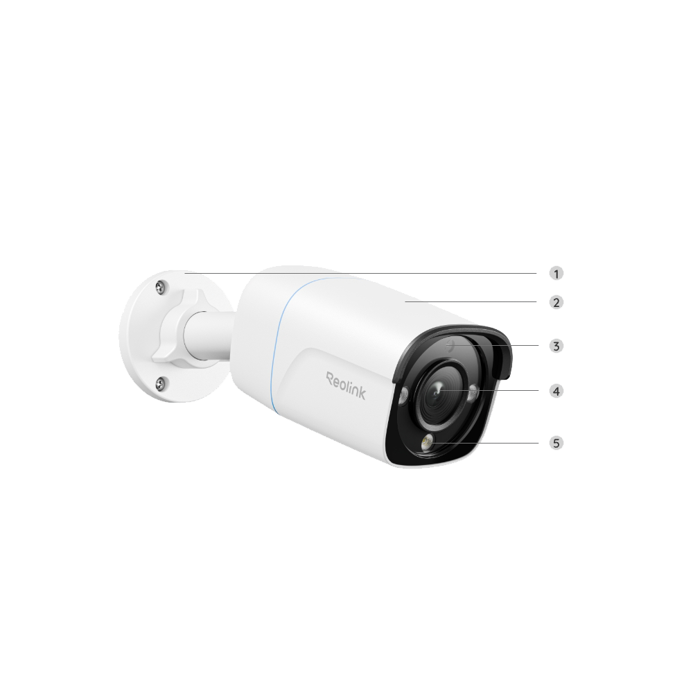 detalle2.png