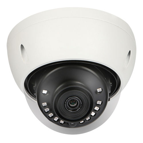 XS-D943W-8P4N1