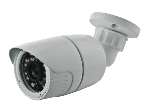 [CV029FIB-2TVI] CV029FIB-2TVI